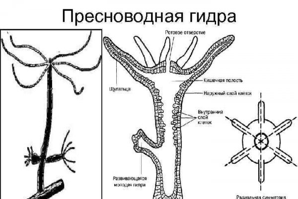 Кракен омг мега