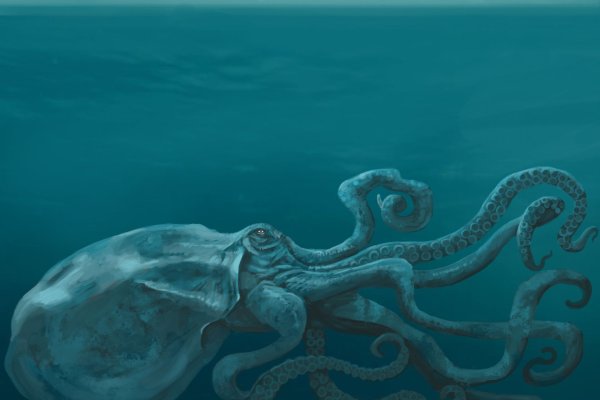 Kraken market3