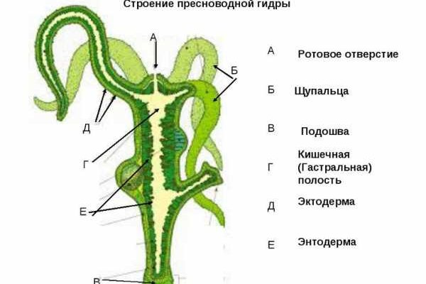 Кракен современный маркет