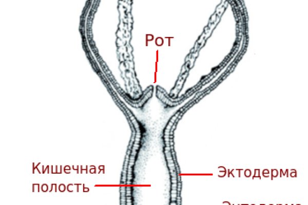 Кракен через тор браузер